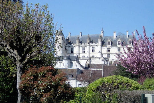 Châteaux .... Logis-royal-loches-504550