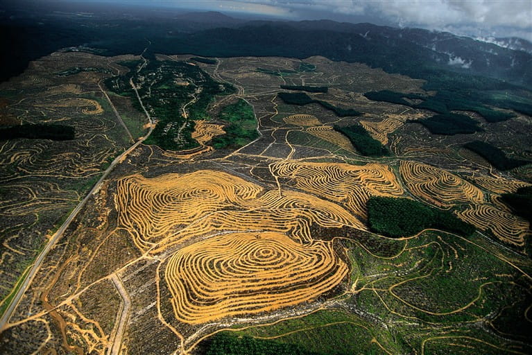 Photos de Yann Arthus Bertrand Malaisie-253040