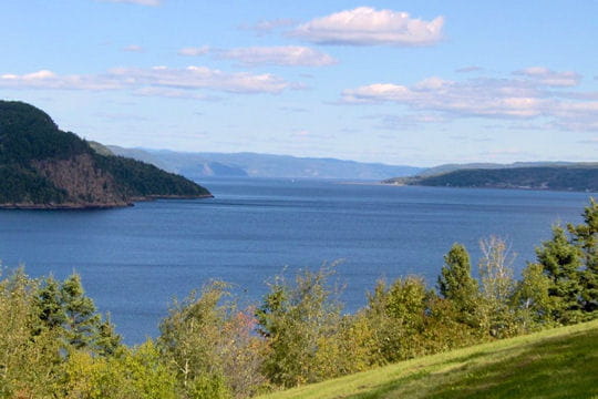 Voyager > Amrique du Nord > Qubec, la vie couleur nature Fjord-saguenay-378285