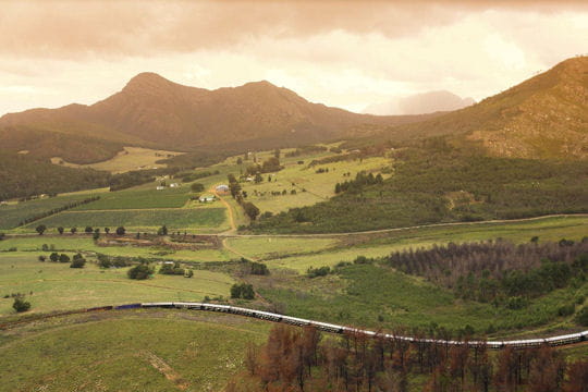 Voyager > Un safari ferroviaire en Afrique Safari-ferroviaire-afrique-sud-395927