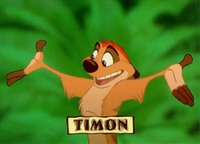 Your Fursona... Timon-char