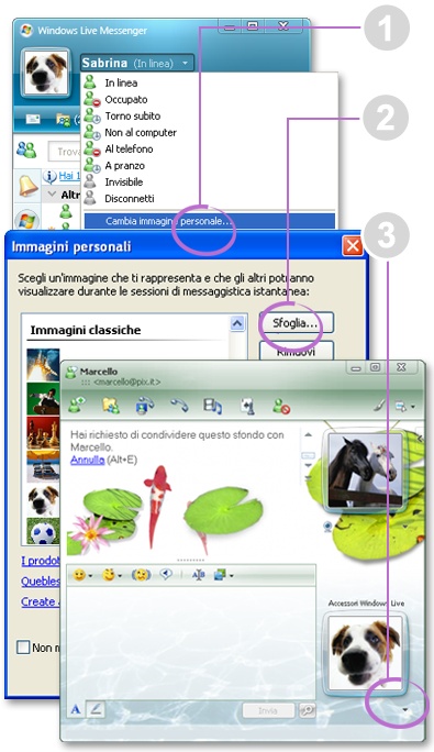 Si të personalizojme Windows Live Messenger MSN! Ill_visualizza_2