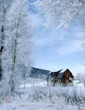 Belles images - Page 2 Paysage_d_hiver