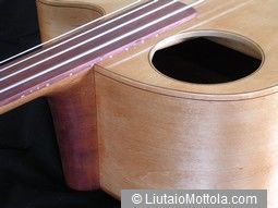 planos bajo acustico fretless FingerboardEnd