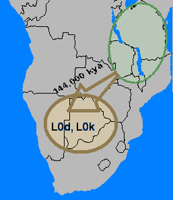 Metropoli di 200.000 anni fa in Africa Metr12