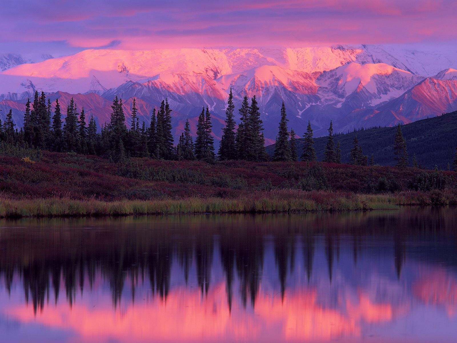 اكبر معرض للصور ذات الجودة العالية Wonder-Lake-and-Alaska-Range-at-Sunset_-Denali-National-Park_-Alaska