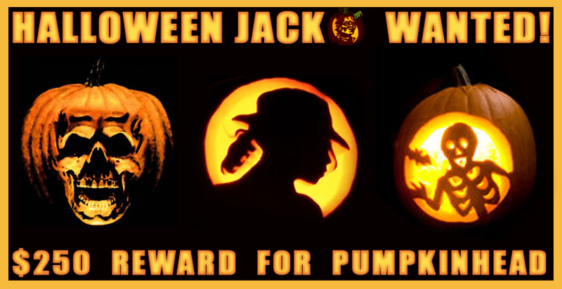 HALLOWEEN JACK IS A REAL COOL CAT   new tnz blog Titile_wanted