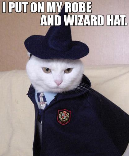   Wizardcat