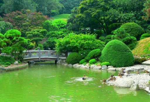 Parque para pasear  - Página 2 NewYorkBotanicalGarden