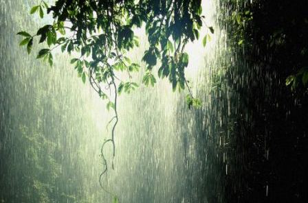 Pide por esa boquita La_lluvia_que_permite_conservar_la_vida