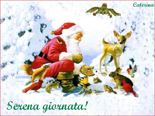 Domenica 11 Dicembre Buona_giornata_4