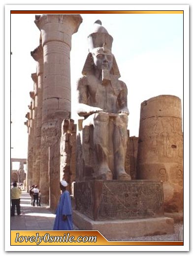 معلومات عن معبد ابو سمبل في اسوان Ms-003