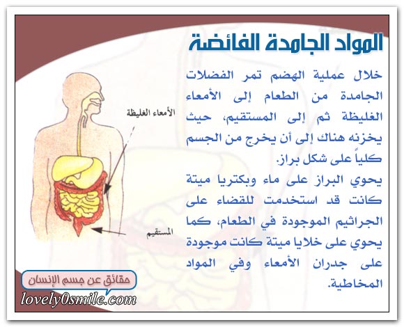 التخلص من فضلات الجسم Hu-15-03