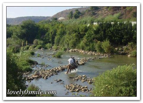 صور مدن فلسطين 065