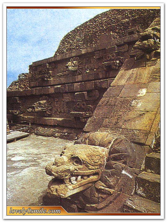 أسرار حضارة المايا الغامضة مع Mystery of the Maya Ms-022