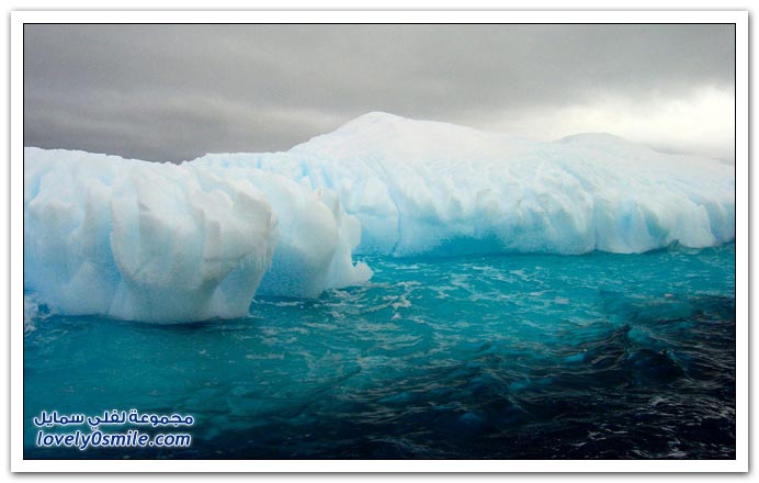 صور من القطب الجنوبي انتركتيكا البارد A26-Antarctica