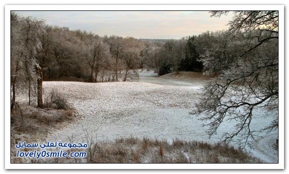 سبحان الله .... صور الأشجار المجمدة من الثلج Garden-ice-06