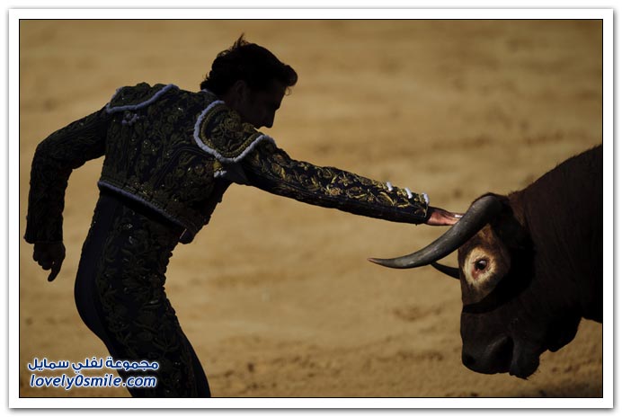 صور:مصارعة الثيران في الشوارع من اسبانيا San-Fermin-2009-Spainia-02