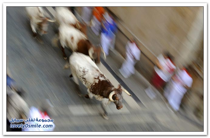 صور:مصارعة الثيران في الشوارع من اسبانيا San-Fermin-2009-Spainia-08