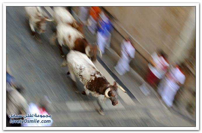 صور مهرجان سان فيرمان 2009 في أسبانيا San-Fermin-2009-Spainia-08