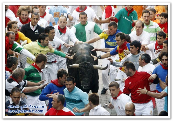 صور:مصارعة الثيران في الشوارع من اسبانيا San-Fermin-2009-Spainia-09