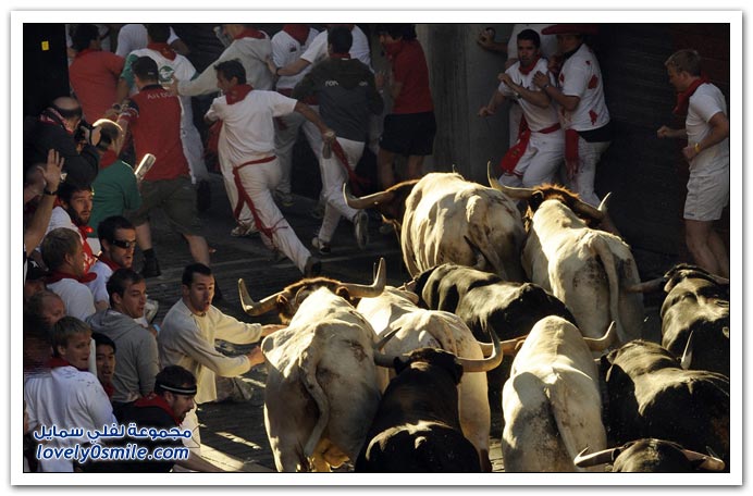 صور:مصارعة الثيران في الشوارع من اسبانيا San-Fermin-2009-Spainia-10