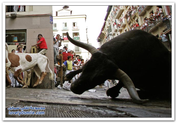 صور:مصارعة الثيران في الشوارع من اسبانيا San-Fermin-2009-Spainia-11