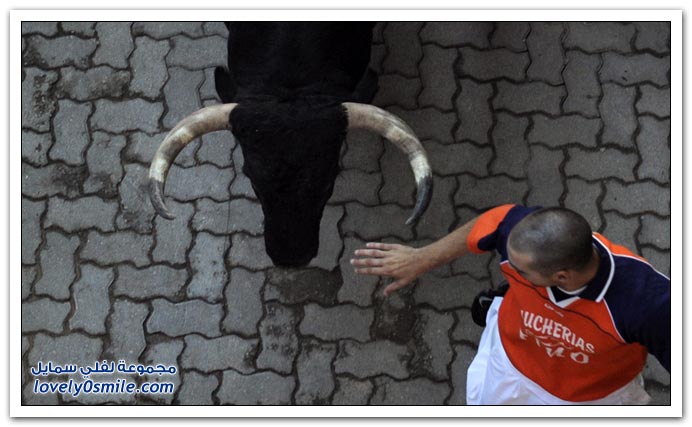 صور:مصارعة الثيران في الشوارع من اسبانيا San-Fermin-2009-Spainia-14