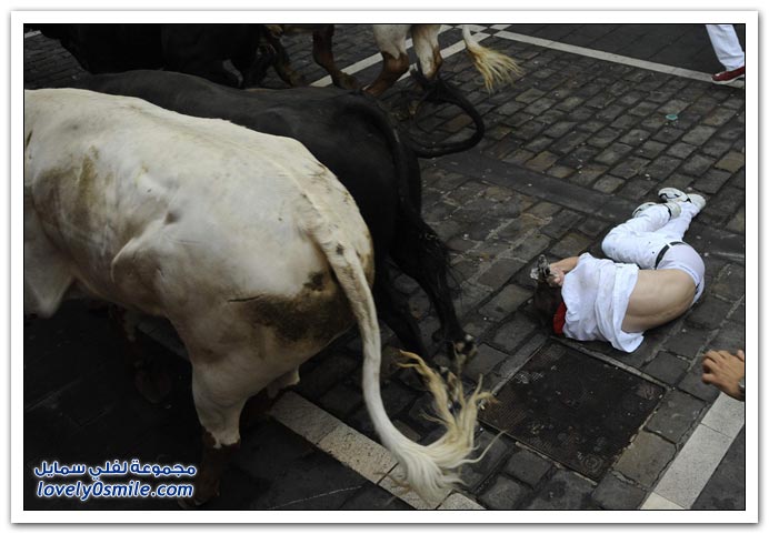 صور:مصارعة الثيران في الشوارع من اسبانيا San-Fermin-2009-Spainia-15