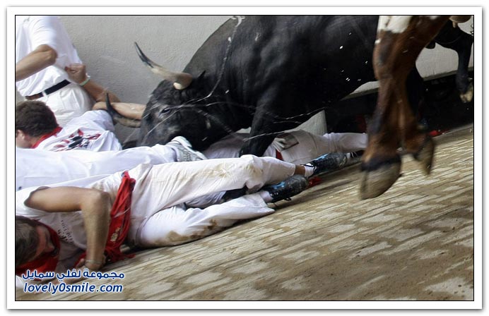 صور:مصارعة الثيران في الشوارع من اسبانيا San-Fermin-2009-Spainia-16