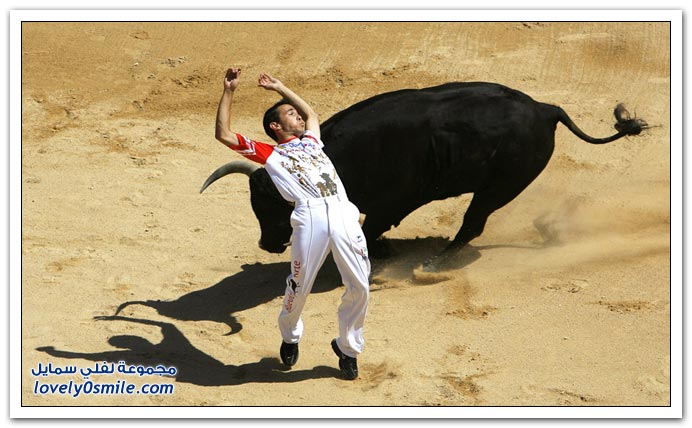 صور:مصارعة الثيران في الشوارع من اسبانيا San-Fermin-2009-Spainia-24