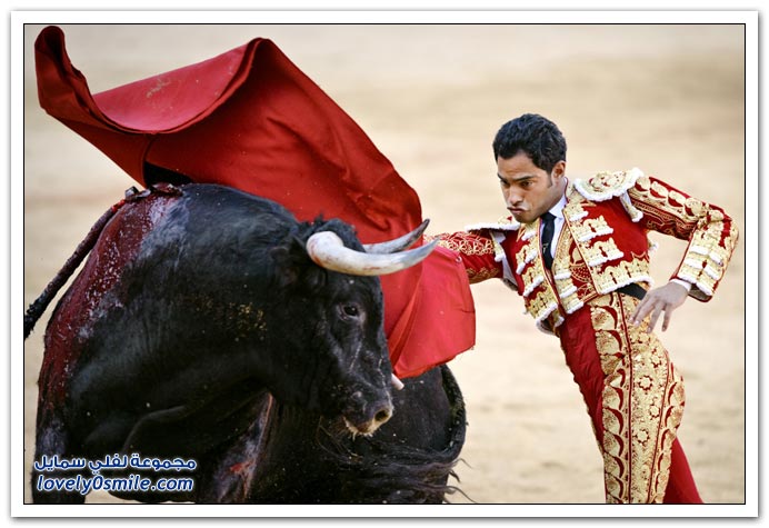 صور:مصارعة الثيران في الشوارع من اسبانيا San-Fermin-2009-Spainia-26