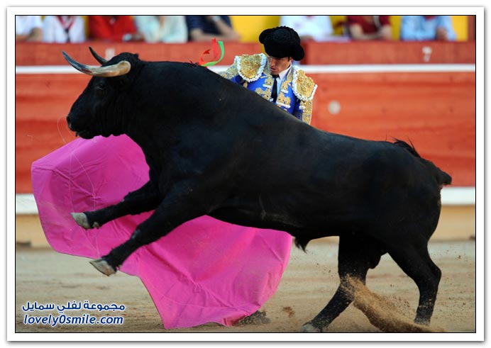 صور مهرجان سان فيرمان 2009 في أسبانيا San-Fermin-2009-Spainia-29