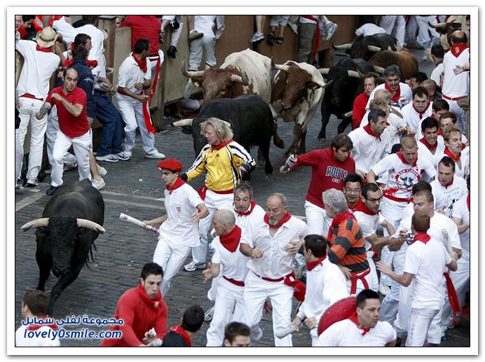 صور مهرجان سان فيرمان 2009 في أسبانيا San-Fermin-2009-Spainia-34