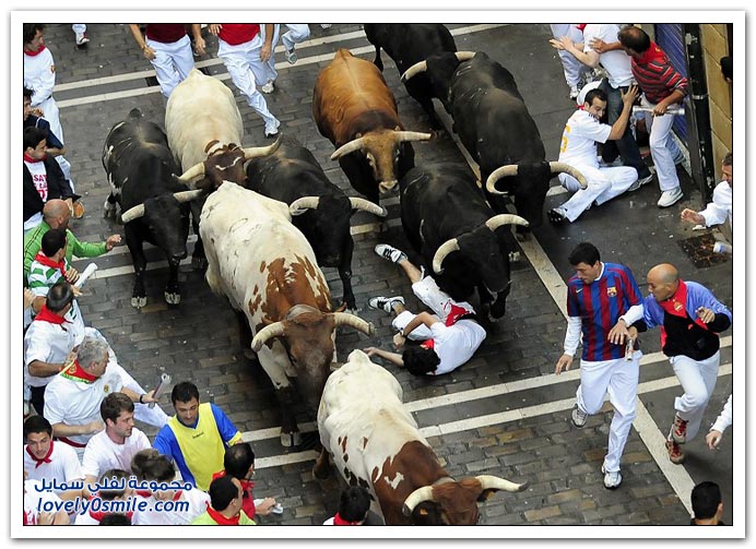 صور مهرجان سان فيرمان 2009 في أسبانيا San-Fermin-2009-Spainia-35