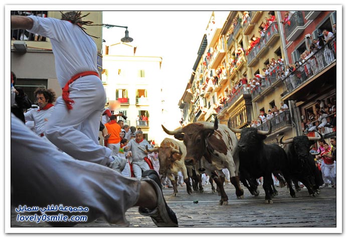 صور مهرجان سان فيرمان 2009 في أسبانيا San-Fermin-2009-Spainia-36