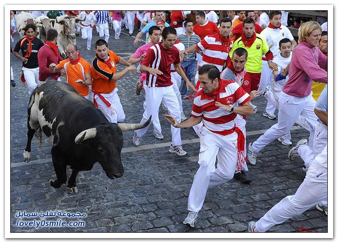 صور مهرجان سان فيرمان 2009 في أسبانيا San-Fermin-2009-Spainia-37