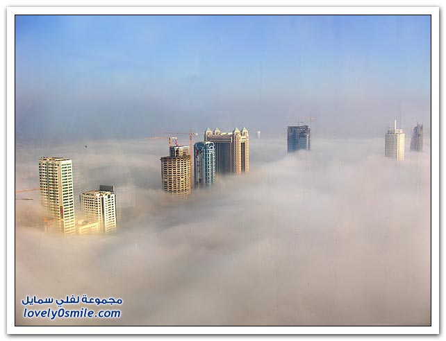 صور: دبي في الضباب Dubai-fog-03