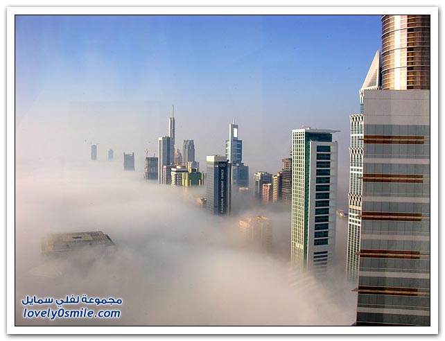 دبي في الضباب Dubai-fog-04