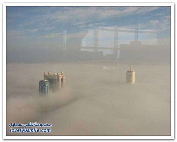 صور: دبي في الضباب Dubai-fog-11