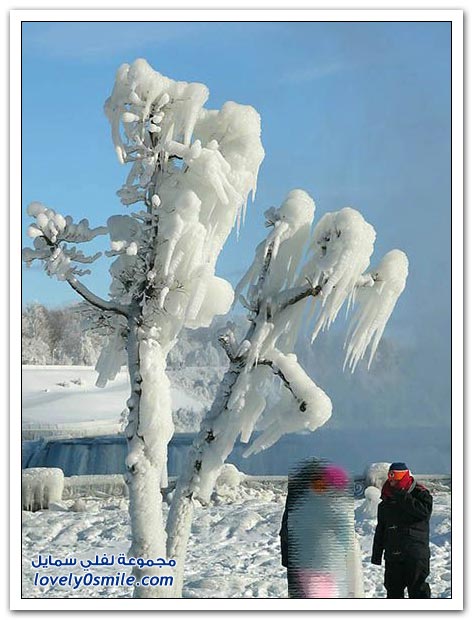 شلالات نياجرا في الشتاء Niagara-winter-038