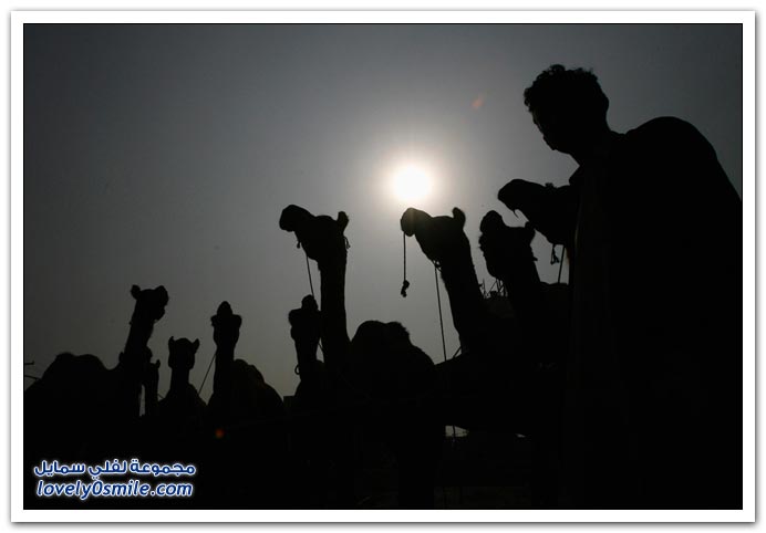 صور للحج وعيد الأضحى المبارك 2009 Haj-eid-2009-13