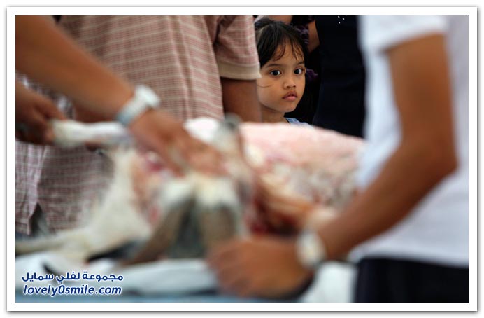 صور للحج وعيد الاضحى المبارك 2009 Haj-eid-2009-24