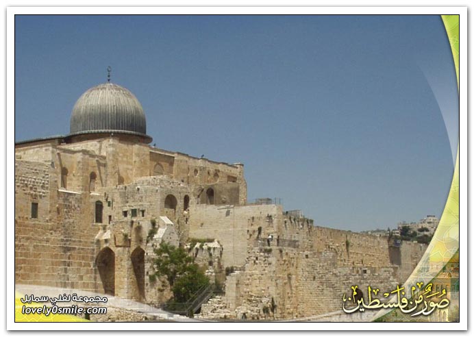 صور معالم اثرية ومقدسات من فلسطين Smp-0024