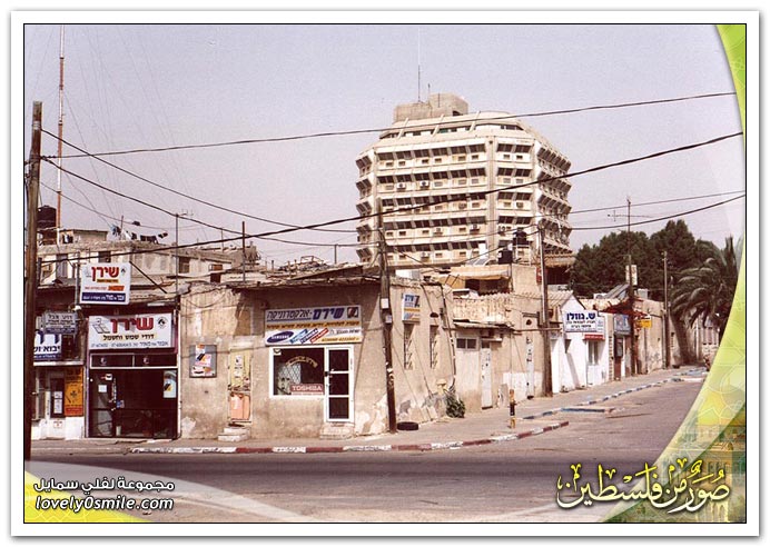 صور من فلسطين Smp-0028