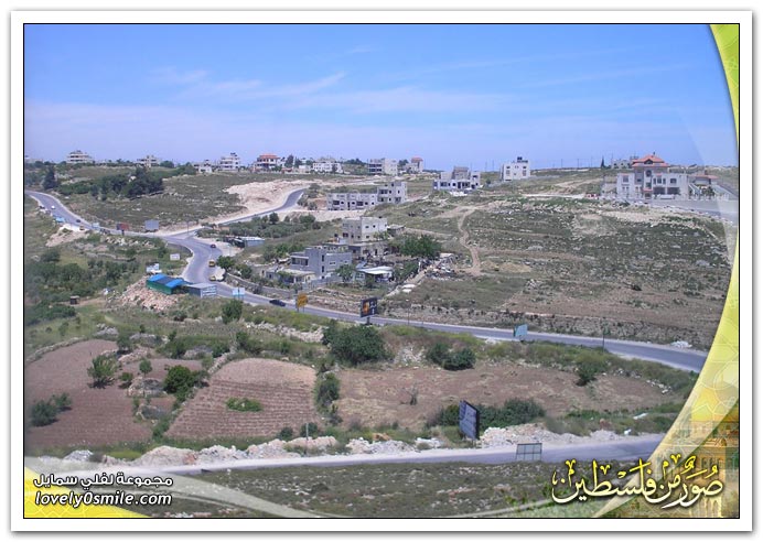 صور من فلسطين Smp-0037