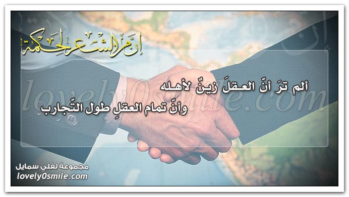 الم تر أن العقل زينة لاهله Sh3r-0115