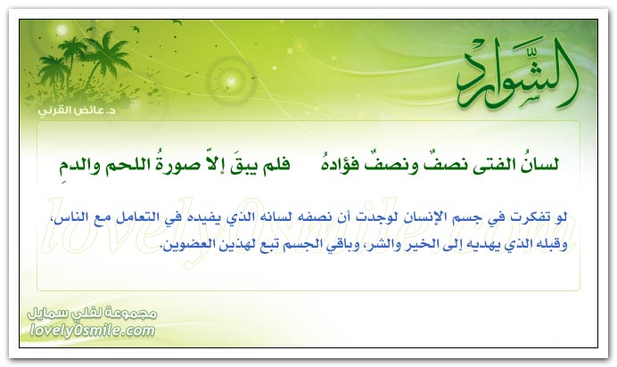 الشوارد Shawared-138