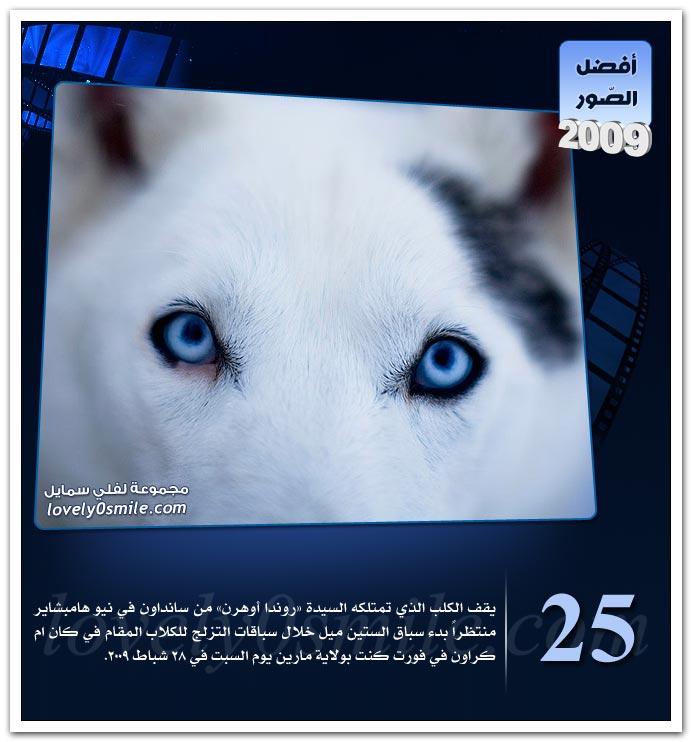 أفضل الصور لعام 2009 Bphotos2009-025