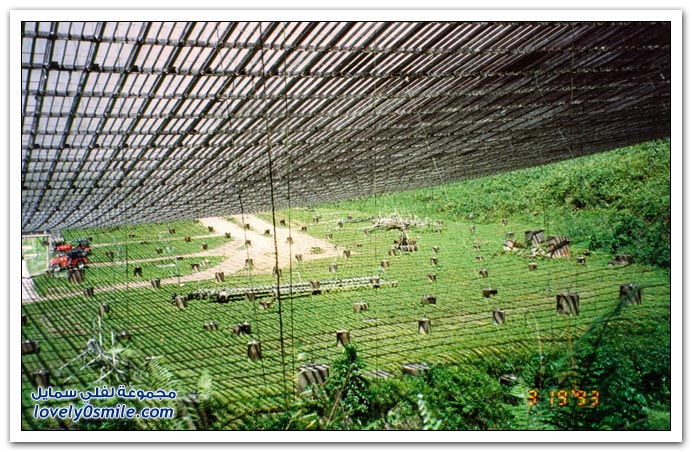 صور لمرصد أريسيبو في بورتوريكو‎ Arecibo-Observatory-Puerto-Rico-47